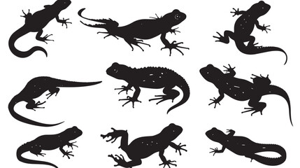 Wall Mural - Salamanders silhouette isolated in White background
