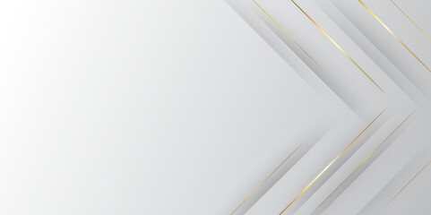 Wall Mural - dynamic and luxury grey shadows line abstract background. abstract grey and white geometric gradient