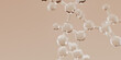 © vpanteon - Elegant 3D rendering of a complex glass molecular structure with transparent atoms. Scientific cosmetic product research beige background.