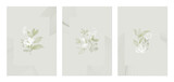 Flower wall art set, minimalist subtle translucent green and white botanical elements on a light gray background Flower wall art set, minimalist subtle translucent green and white botanical elements on a light gray background