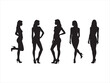 © Abid - Elegant silhouettes of women posing in stylish outfits and high heels on white background