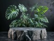 © Periksa - high definition image of Stone podium with tropical palm leaves for product presentation. high detail 8k