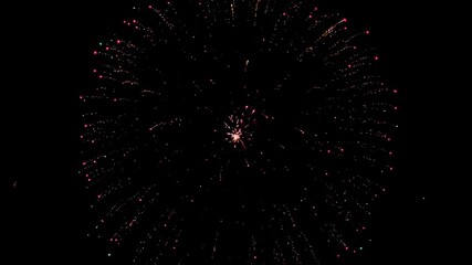 Wall Mural - fireworks in the night sky with a black background
