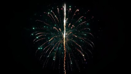 Wall Mural - fireworks in the sky with a black background