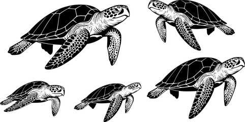 Wall Mural - Sea turtle Silhouette Vector Illustration Set
