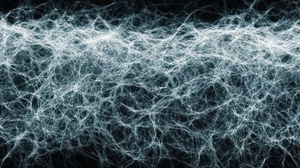 Intricate network of fine, light-gray threads against a dark background.  Complex interwoven filaments create a dense, ethereal, and detailed pattern