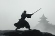 © Vlad - Chinese Warrior. Silhouette of Ancient Soldier in East, embodying Karate and Samurai Way