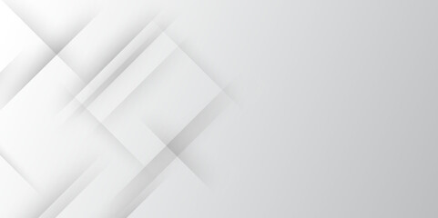 Wall Mural - elegant abstract background with grey lines with shadow. modern abstract gray line light dynamic sha