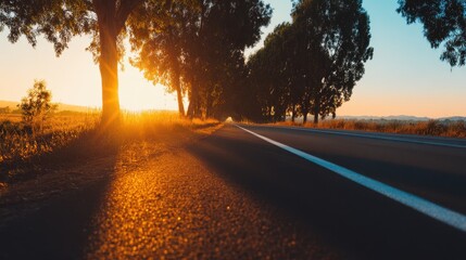 Wall Mural - serene sunset view along a tree-lined road with warm light illuminating the horizon