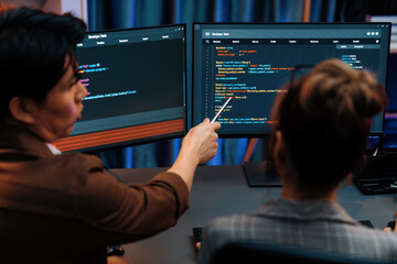 Smart IT developer looking at coding program application on computer screen of online website at back side, analyzing intelligent database system development on business marketing at office. Infobahn.