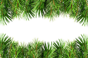 Wall Mural - green pine twigs for christmas borders isolated on white or transparent background. holiday frame.