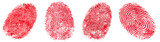Four red fingerprints, isolated on transparent background