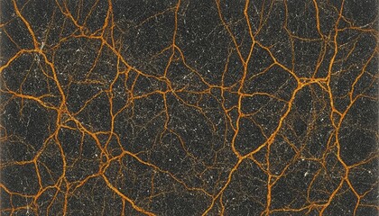 Dark background, intricate network of orange veins