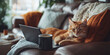 © Aigo labs - A ginger cat lounges on a comfy leather couch, enjoying a cozy autumn day with a laptop and a warm mug of coffee.