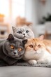 © Generative AI - Adorable trio of cats lying together on floor in bright modern living room with natural light