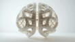 © keshia - White Model of a Human Brain with Detailed Gyri and Sulci