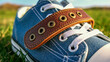 © SHAH NIPU - Closeup of blue denim sneaker with brown leather strap