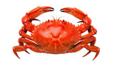 160_f_1549392888_5chwcuogcnxqmmillzxkbklwmcsvays0