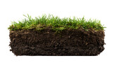 Lush green grass and rich dark soil cross section nature background