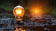 © svastix - A glowing vintage light bulb surrounded by natural elements, raindrops glistening on its surface, symbolizes creativity, illumination, and sustainability in an artistic manner.