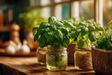 Close-up of aromatic basil plants in vintage mason jars on a rustic wooden table, bathed in natural light, showcasing freshness and culinary herbs indoors. Close-up of aromatic basil plants in vintage mason jars on a rustic wooden table, bathed in natural light, showcasing freshness and culinary herbs indoors.