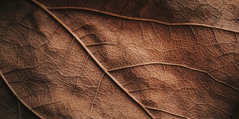 Sticker - delicate low-contrast textures with minimal distractions, perfect for creating a peaceful minimalist