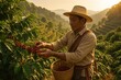 © Bijac - Coffee plantation worker carefully selecting premium arabica beans during sunrise harvest in mountainous region