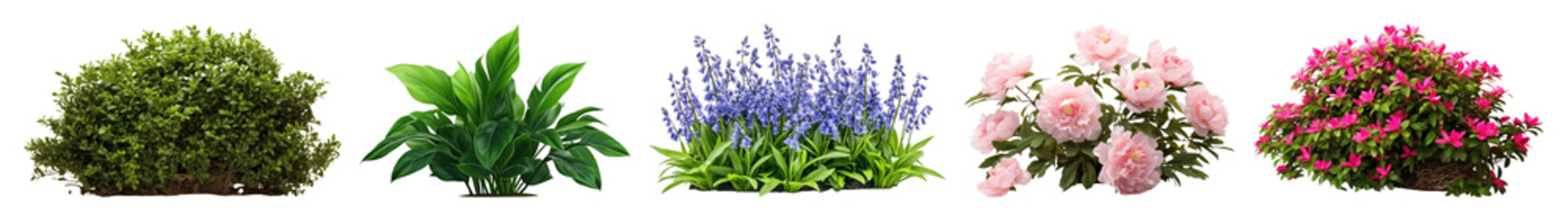 Wall Mural - png colorful garden plant collection, element set on transparent background