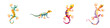 © T Studio - Colorful Lizard Illustration Set: Cartoon Reptiles on White Background