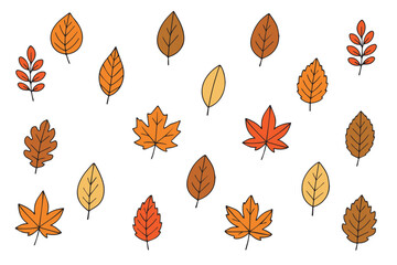Wall Mural - Big set with outlines of bright autumn leaves in doodle style. Concept of forest, leaf fall, nature. Vector illustration, hand drawn. Vector 