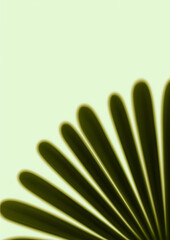 Wall Mural - olive green abstract lines creating a fan shape on light green background