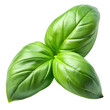 © Png Stock - Basil leaf fresh green isolated on transparent background