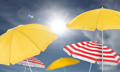 Wall Mural - different bright beach umbrellas against blue sky on sunny day