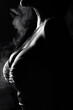 © Tommy - Moody close-up of a woman's chest and neck in low light with dewy skin, subtle smoke, and dramatic shadows, creating a sensual and artistic visual effect.
