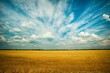 © Ali - field of wheat (test)
