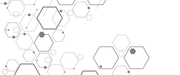Wall Mural - vector abstract geometric network background technology with hexagonal shape
