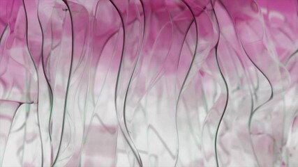 Wall Mural - smooth pink and green gradient lines flow and undulate gracefully against a clean white background, 