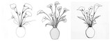 PNG Three sketches of vases with calla lilies in different styles element set on transparent background.