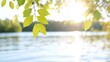 © Putt_Sanplee - Sunlight filters through green leaves by a serene lake, creating a peaceful, nature-inspired atmosphere perfect for relaxation.