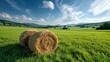 © svastix - A picturesque landscape featuring round hay bales in vibrant green fields, under a clear blue sky with fluffy clouds, ideal for agriculture or rural lifestyle imagery.