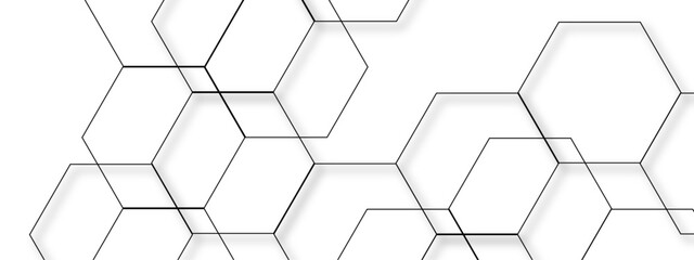 Wall Mural - abstract seamless white background with network of thin, black outlined hexagons arranged geometric 