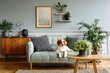 © duyina1990 - Cozy Living Room with Dog and Plants