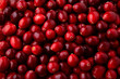 © Koko Foto - Fresh ripe cranberries as background. Large cranberry texture close up top view. Oxycoccus (Vaccinium) macrocarpus or bearberry.