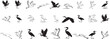 © Bhismodeb - Black and White Heron Bird Silhouettes Line Art Collection