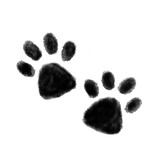 hand drawn watercolor dog paw prints on transparent background