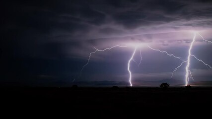 Wall Mural - Looping Lightning Strikes and Electrical Storm on Black Background with Alpha Channel
