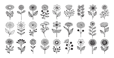 collection of hand drawn floral elements in a simple line art silhouette style