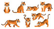 © meeblues - Adobe illustrator vector flat style illustration of mascot cartoon tigers in different standing and sitting poses, showcasing their iconic orange and black stripes