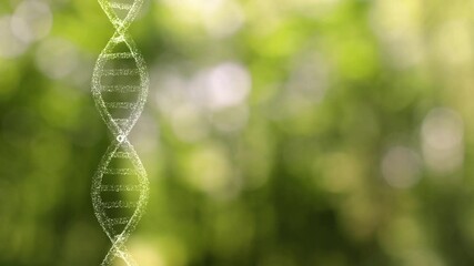 Poster - loop green nature blur sunny copy space bokeh with 3d dna chain rotation.