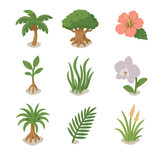 Island Flora Icons. Isometric Flat icon set of island flora: coconut palm, banyan tree, hibiscus flower, mangrove sapling, sea Island Flora Icons. Isometric Flat icon set of island flora: coconut palm, banyan tree, hibiscus flower, mangrove sapling, sea